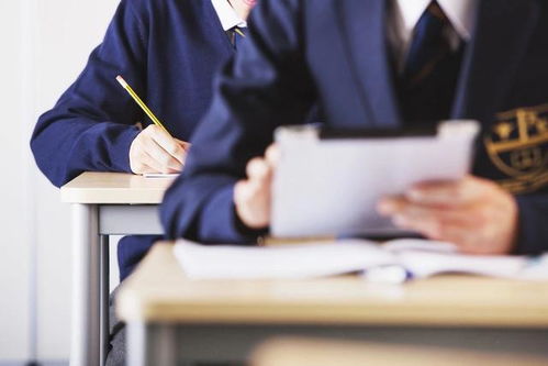 想知道自己是否被录取？带你一文读懂考生电子档案状态