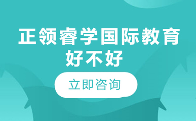 北京正领睿学国际教育 以创意策划服务赋能未来教育
